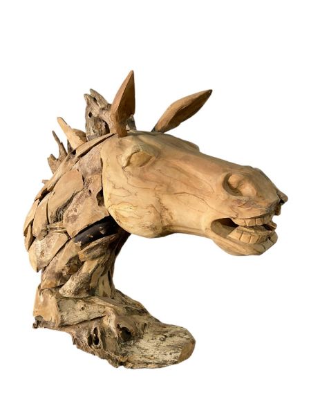 Image sur PAARDEN HOOFD 