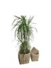 Image sur Round basket set of 3 PROMO (last items)