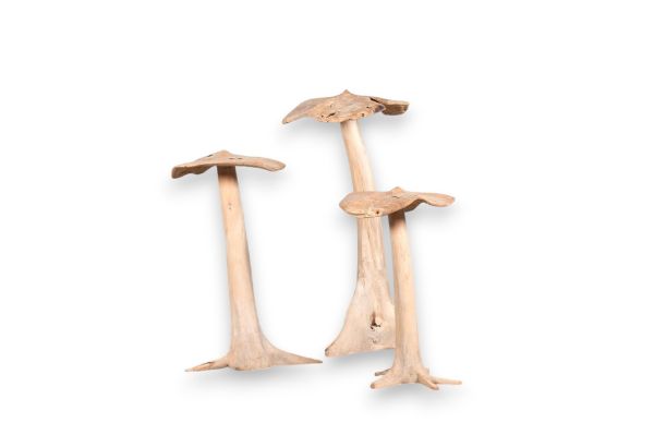 Picture of PADDENSTOELEN SET / 3