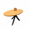 Image sur Dining Table Oval, Diamond Spyder leg 200 cm